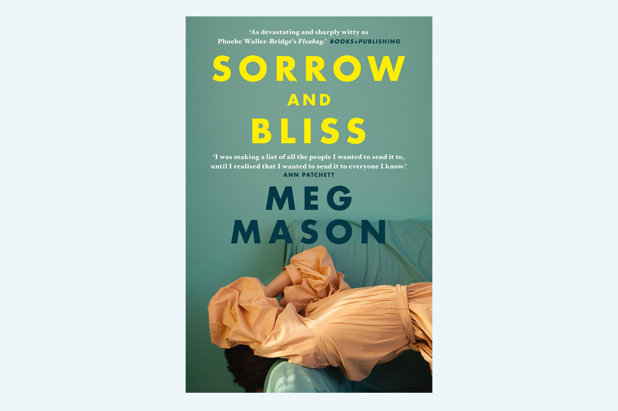 meg mason sorrow and bliss