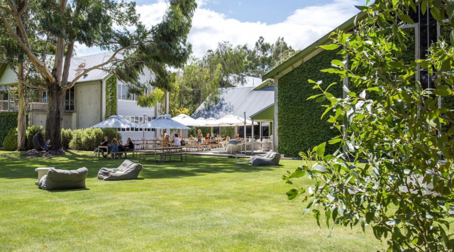 The best New Zealand restaurants to visit on your next road trip