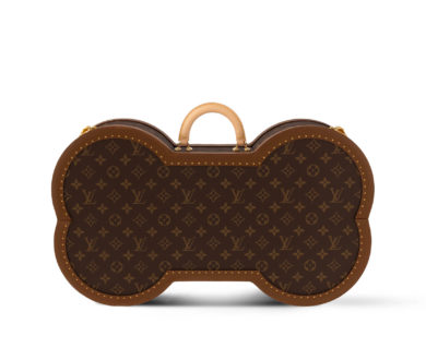 Louis Vuitton Bone Trunk