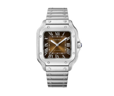 Cartier Santos De Cartier watch