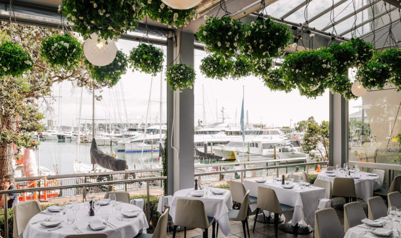 Dining with international guests? Our Editor-in-chief rounds up the best places in Auckland to impress visitors