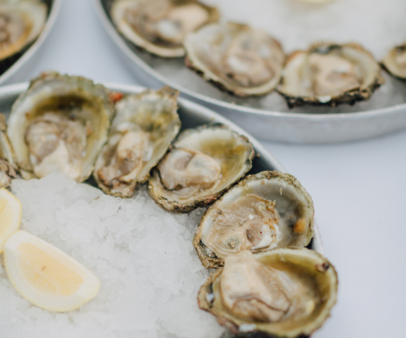 Our Definitive Guide to Bluff Oyster Season Denizen