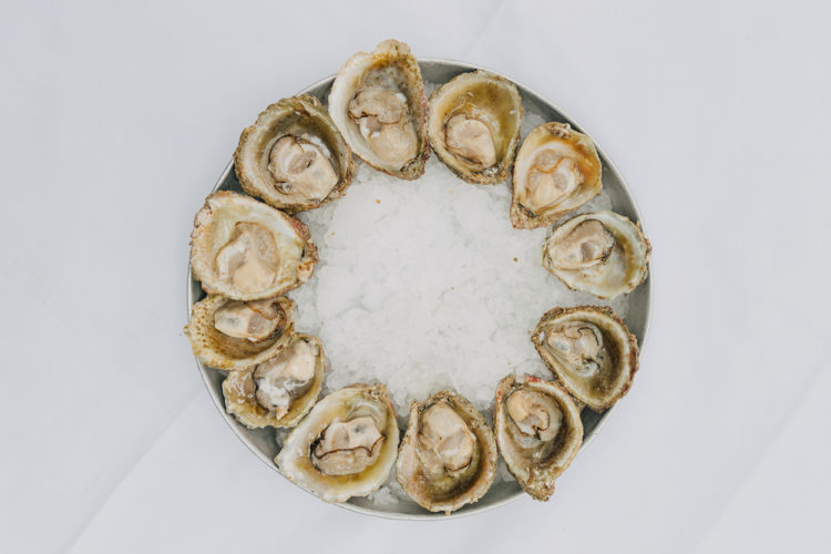 Our Definitive Guide to Bluff Oyster Season Denizen