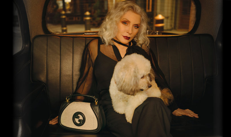 Via a clever campaign starring the world’s most recognisable ‘blondie’, Gucci reintroduces one of its most iconic bags