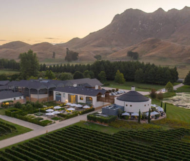 Denizen’s Insider Guide to Hawke’s Bay: All the best wineries