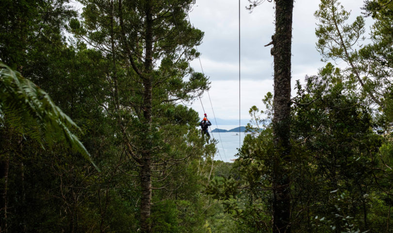 Staying put these school holidays? We round up the best activities in Auckland to keep boredom at bay