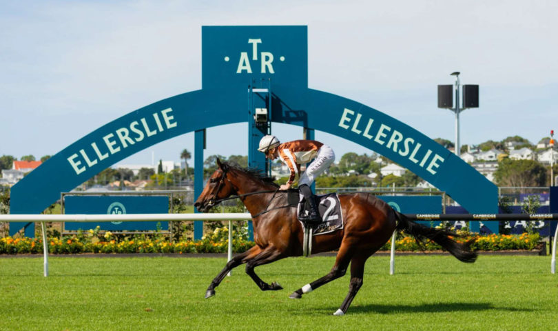 Dust off your fascinator, the races are back — here’s everything you need to know