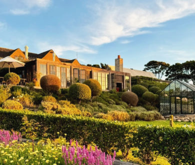 Denizen’s definitive guide on everywhere to wine and dine on Waiheke Island