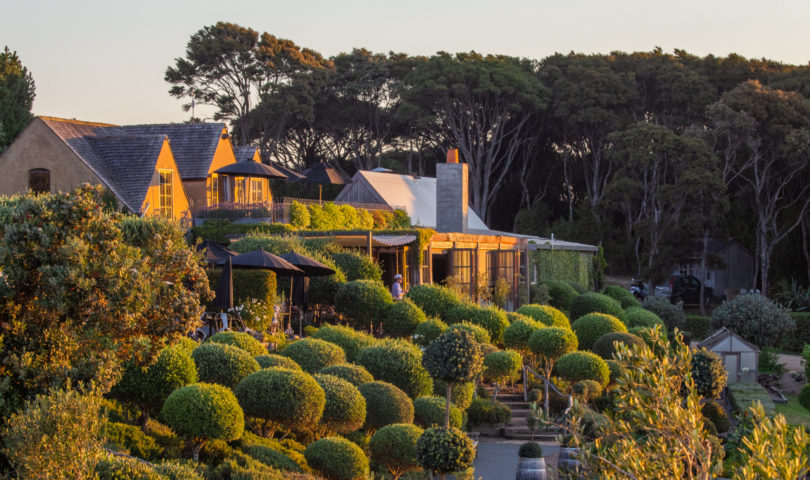 Denizen’s definitive guide on everywhere to wine and dine on Waiheke Island